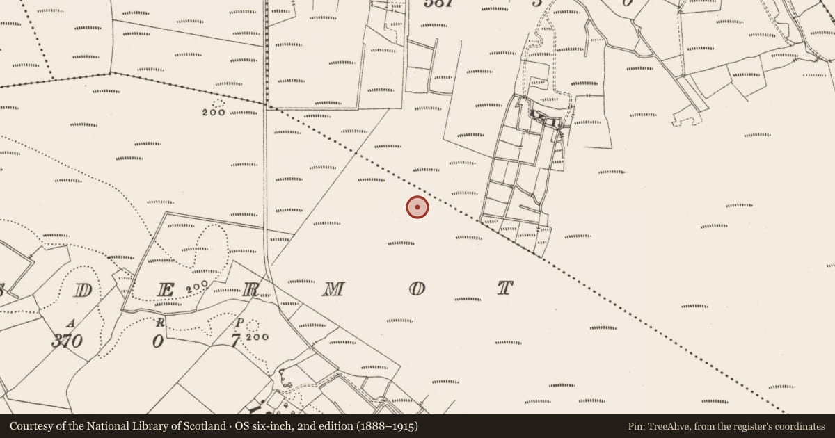 Ordnance Survey six-inch map, 2nd edition (1888–1915) covering the location of Structure - peatland, Lisdermot, County Offaly, with a pin at the register's coordinates