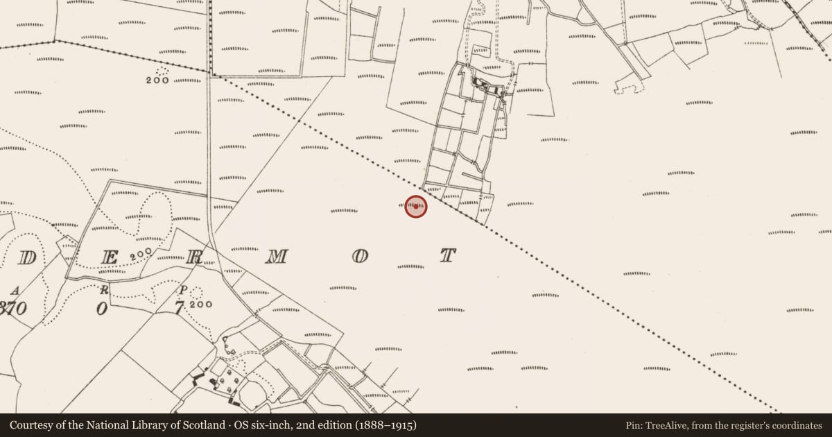Ordnance Survey six-inch map, 2nd edition (1888–1915) covering the location of Structure - peatland, Lisdermot, County Offaly, with a pin at the register's coordinates
