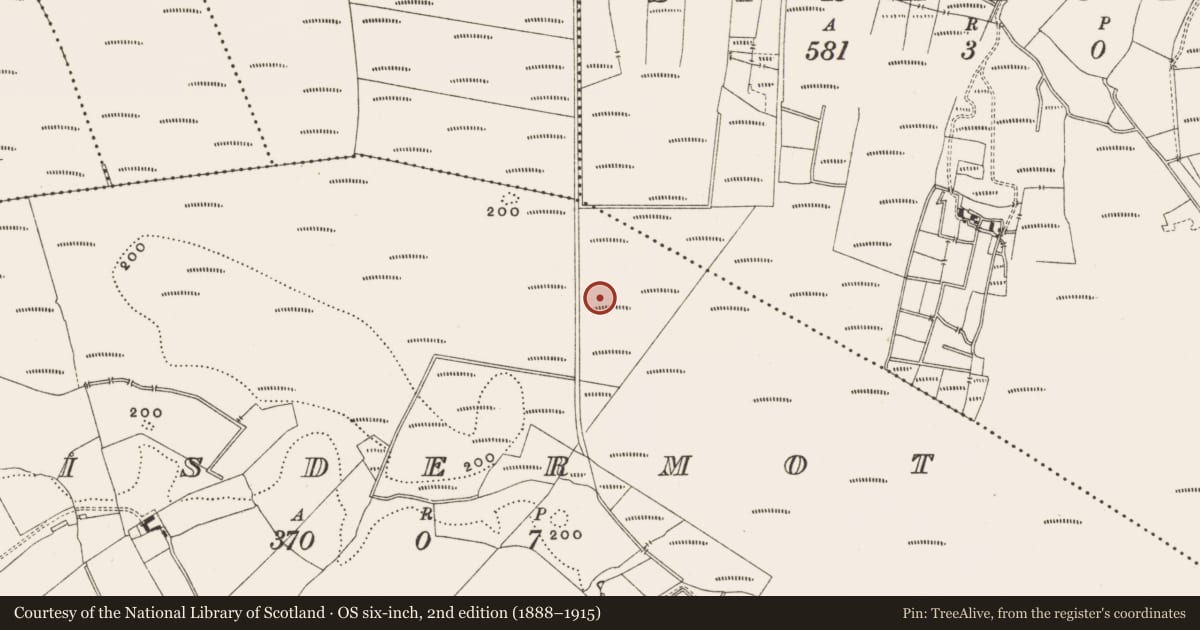 Ordnance Survey six-inch map, 2nd edition (1888–1915) covering the location of Structure - peatland, Lisdermot, County Offaly, with a pin at the register's coordinates