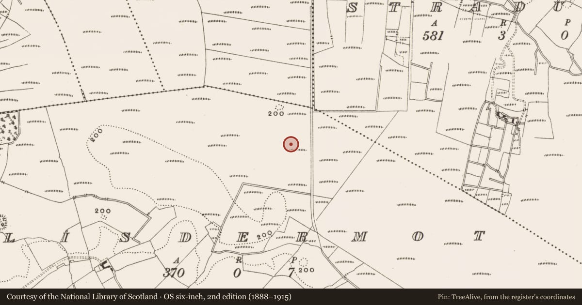 Ordnance Survey six-inch map, 2nd edition (1888–1915) covering the location of Structure - peatland, Lisdermot, County Offaly, with a pin at the register's coordinates