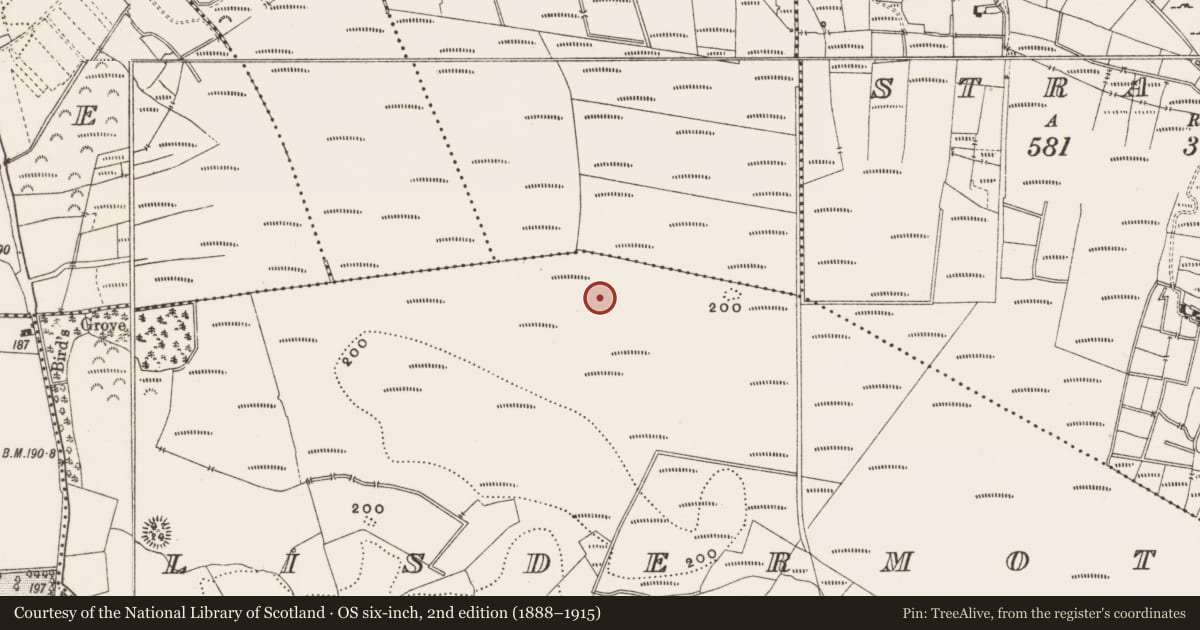 Ordnance Survey six-inch map, 2nd edition (1888–1915) covering the location of Structure - peatland, Lisdermot, County Offaly, with a pin at the register's coordinates