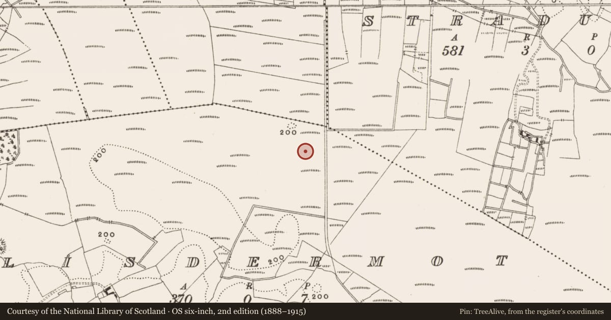 Ordnance Survey six-inch map, 2nd edition (1888–1915) covering the location of Structure - peatland, Lisdermot, County Offaly, with a pin at the register's coordinates