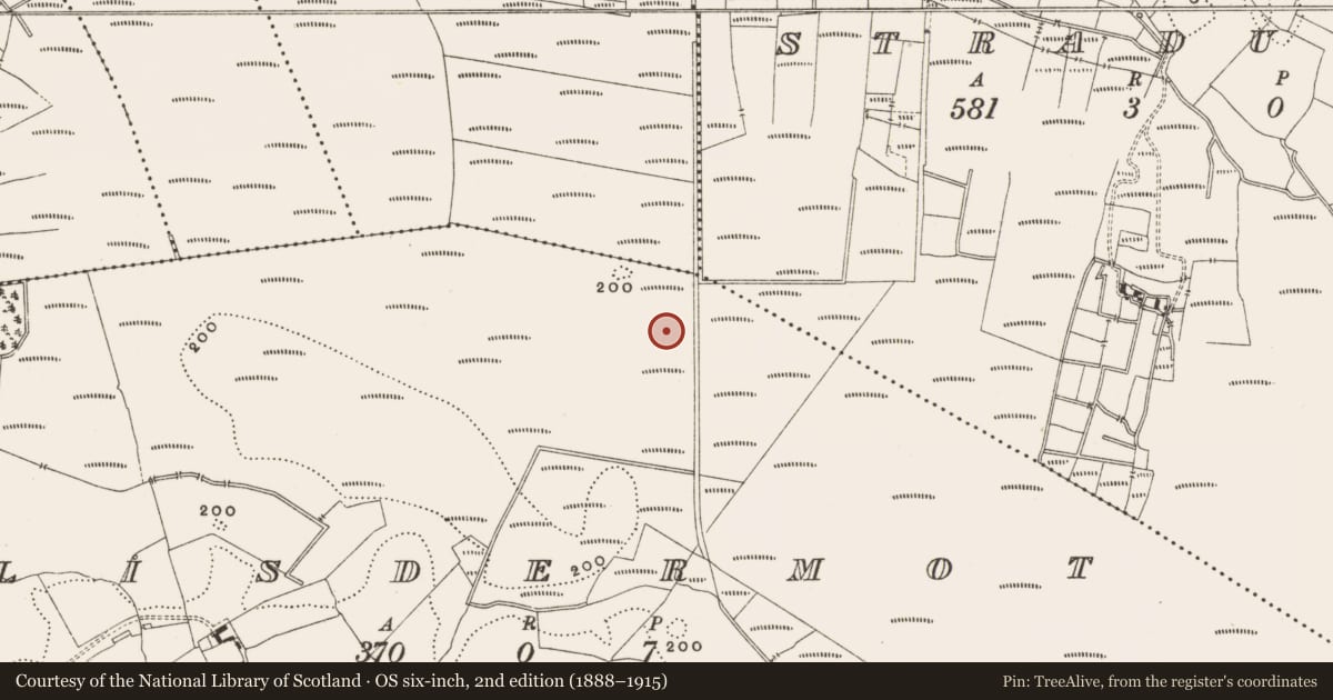 Ordnance Survey six-inch map, 2nd edition (1888–1915) covering the location of Structure - peatland, Lisdermot, County Offaly, with a pin at the register's coordinates