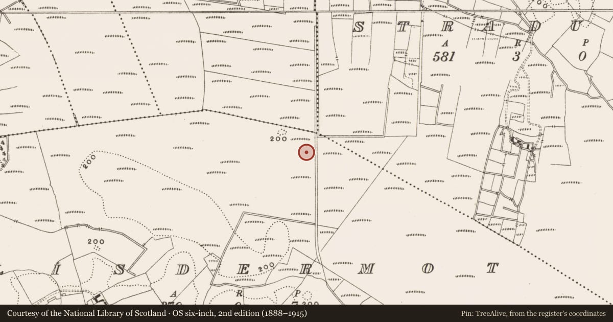 Ordnance Survey six-inch map, 2nd edition (1888–1915) covering the location of Structure - peatland, Lisdermot, County Offaly, with a pin at the register's coordinates