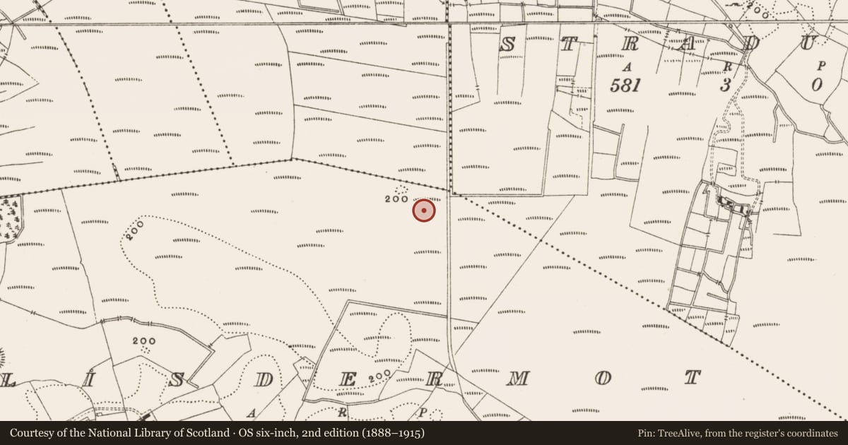 Ordnance Survey six-inch map, 2nd edition (1888–1915) covering the location of Structure - peatland, Lisdermot, County Offaly, with a pin at the register's coordinates