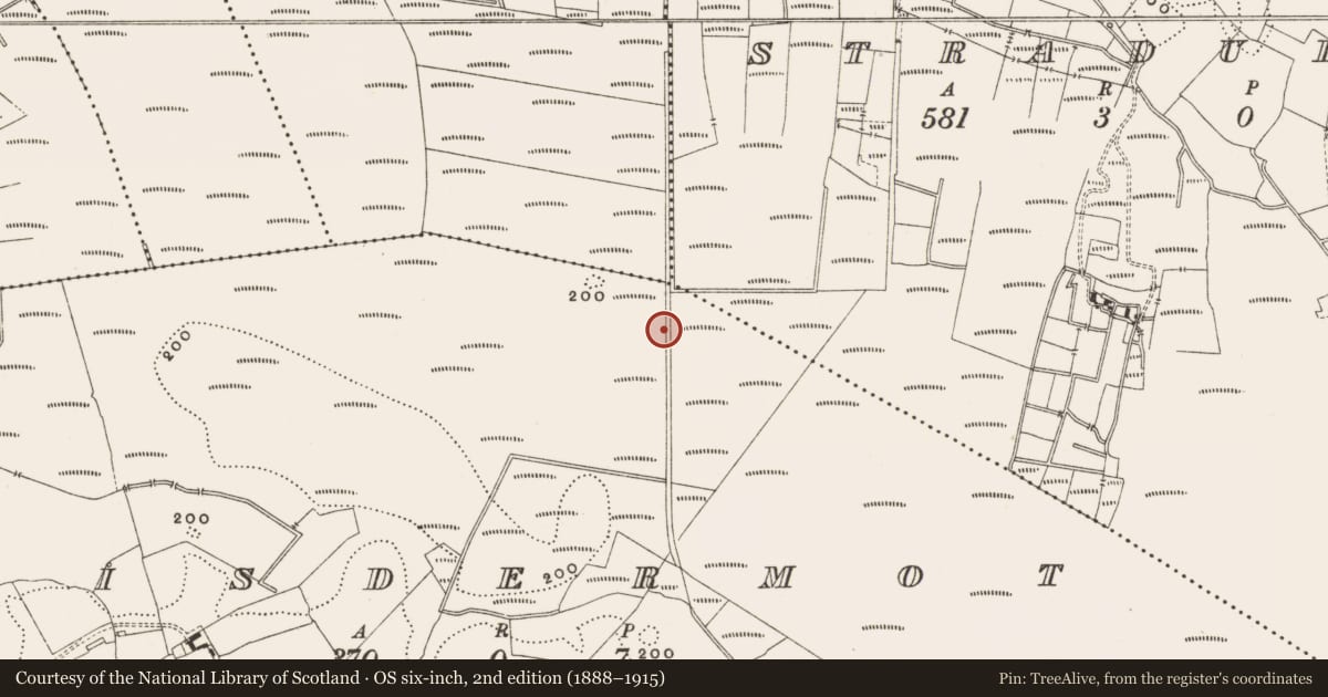 Ordnance Survey six-inch map, 2nd edition (1888–1915) covering the location of Structure - peatland, Lisdermot, County Offaly, with a pin at the register's coordinates