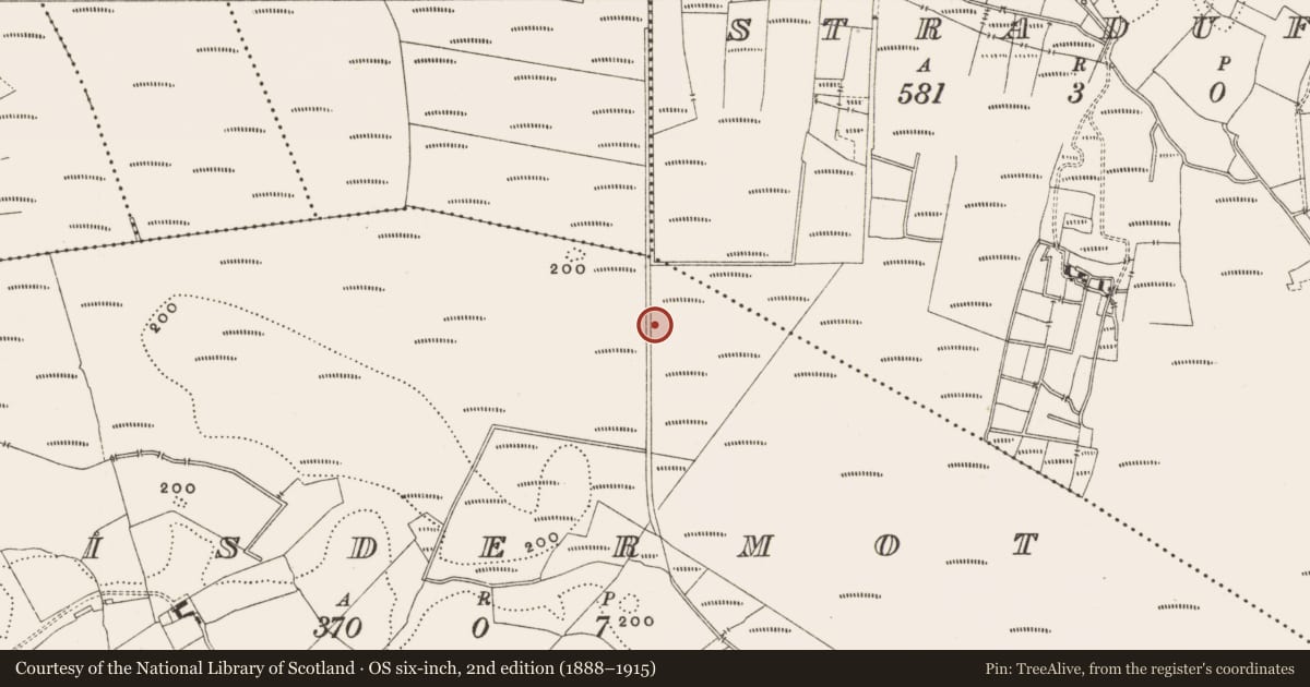 Ordnance Survey six-inch map, 2nd edition (1888–1915) covering the location of Structure - peatland, Lisdermot, County Offaly, with a pin at the register's coordinates