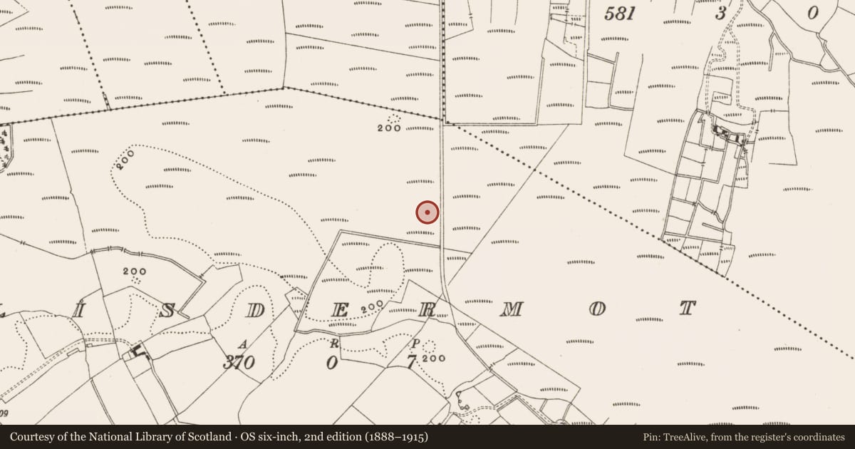 Ordnance Survey six-inch map, 2nd edition (1888–1915) covering the location of Road - class 3 togher, Lisdermot, County Offaly, with a pin at the register's coordinates