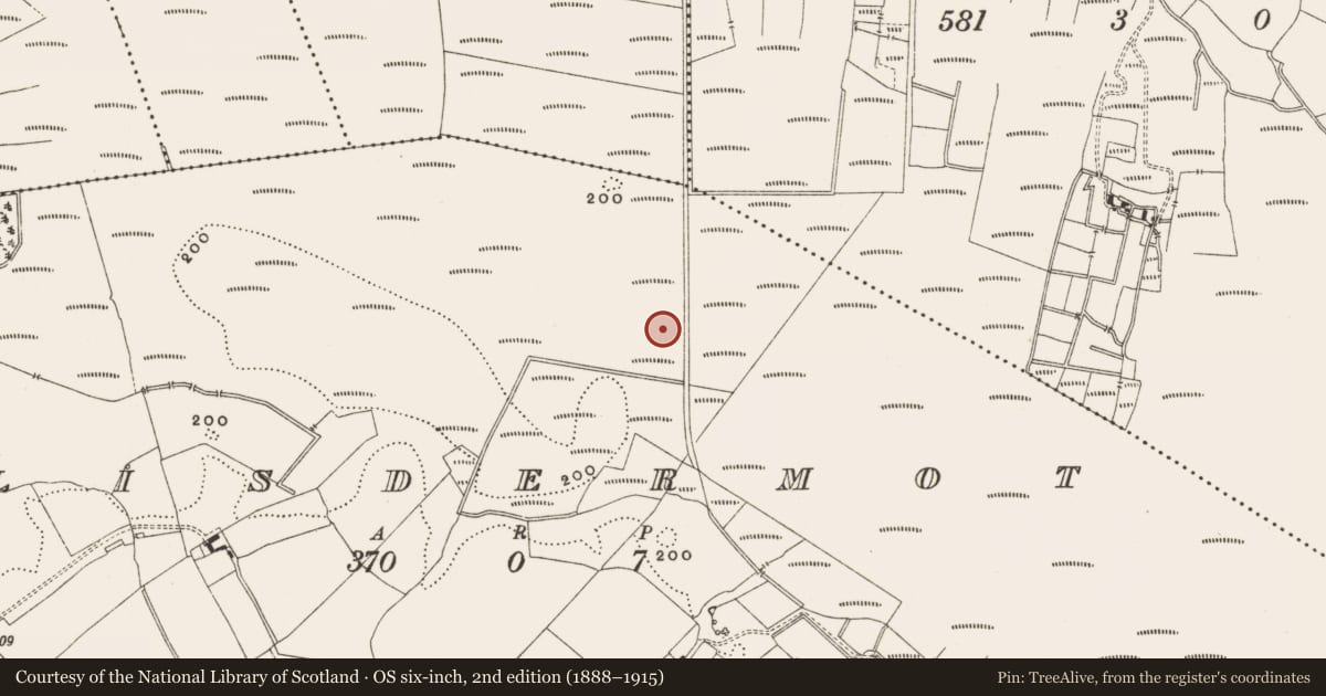 Ordnance Survey six-inch map, 2nd edition (1888–1915) covering the location of Structure - peatland, Lisdermot, County Offaly, with a pin at the register's coordinates