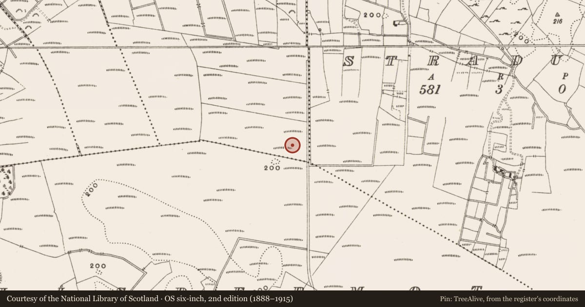 Ordnance Survey six-inch map, 2nd edition (1888–1915) covering the location of Road - class 3 togher, Rashinagh, County Offaly, with a pin at the register's coordinates