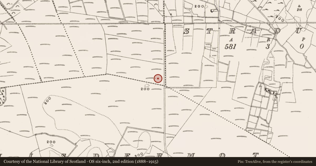 Ordnance Survey six-inch map, 2nd edition (1888–1915) covering the location of Structure - peatland, Rashinagh, County Offaly, with a pin at the register's coordinates