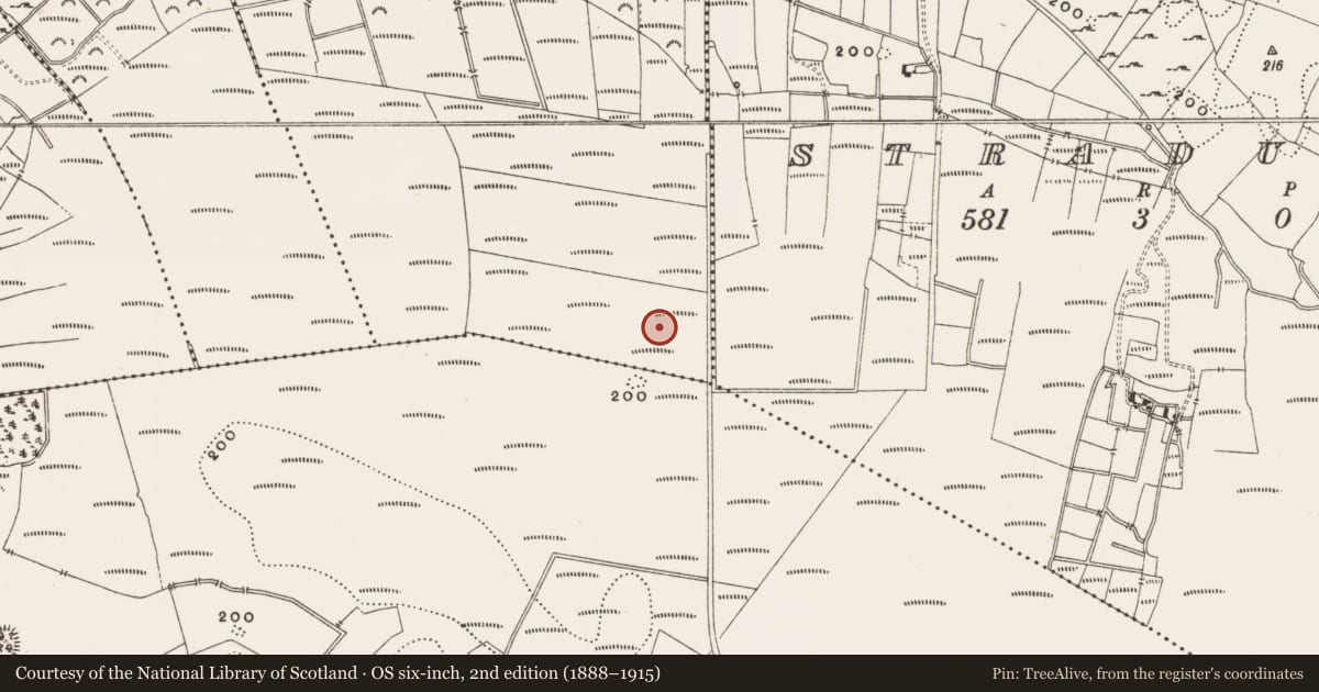 Ordnance Survey six-inch map, 2nd edition (1888–1915) covering the location of Structure - peatland, Rashinagh, County Offaly, with a pin at the register's coordinates
