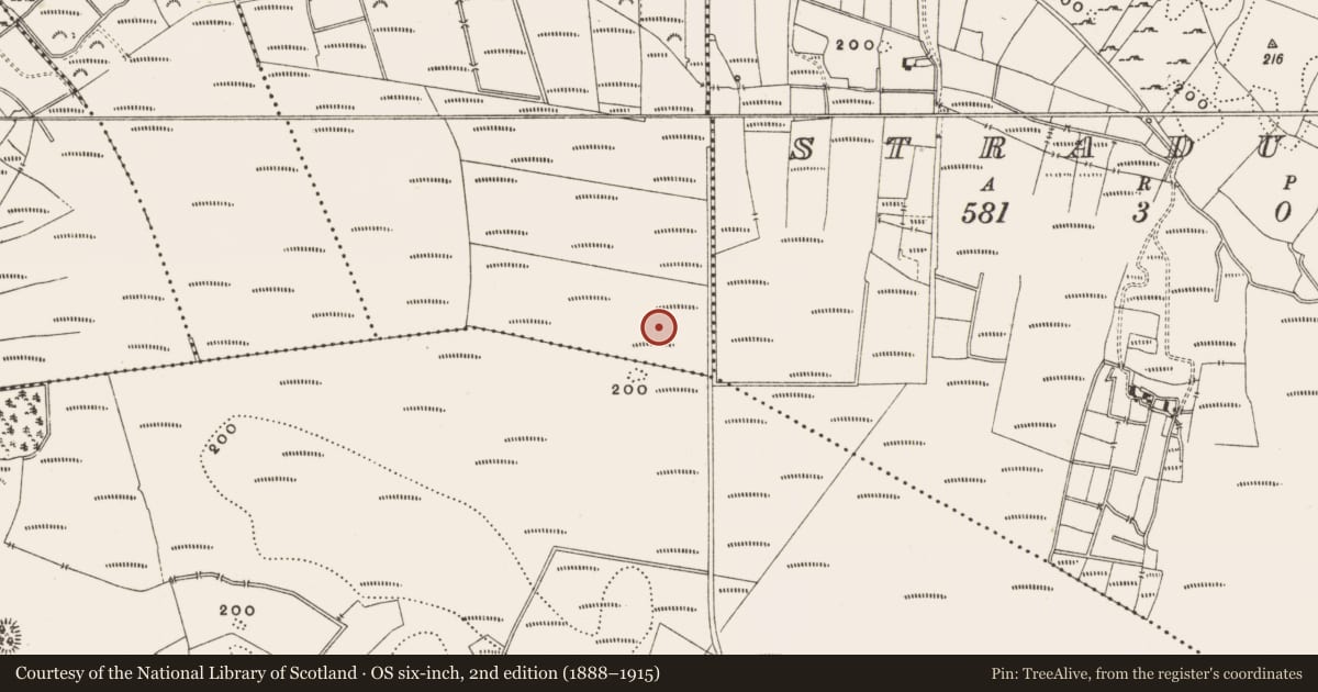 Ordnance Survey six-inch map, 2nd edition (1888–1915) covering the location of Structure - peatland, Rashinagh, County Offaly, with a pin at the register's coordinates