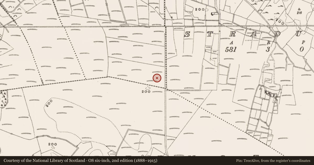 Ordnance Survey six-inch map, 2nd edition (1888–1915) covering the location of Structure - peatland, Rashinagh, County Offaly, with a pin at the register's coordinates