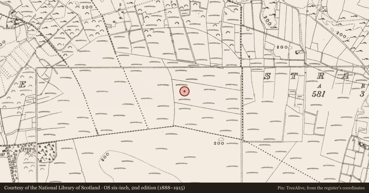 Ordnance Survey six-inch map, 2nd edition (1888–1915) covering the location of Structure - peatland, Rashinagh, County Offaly, with a pin at the register's coordinates