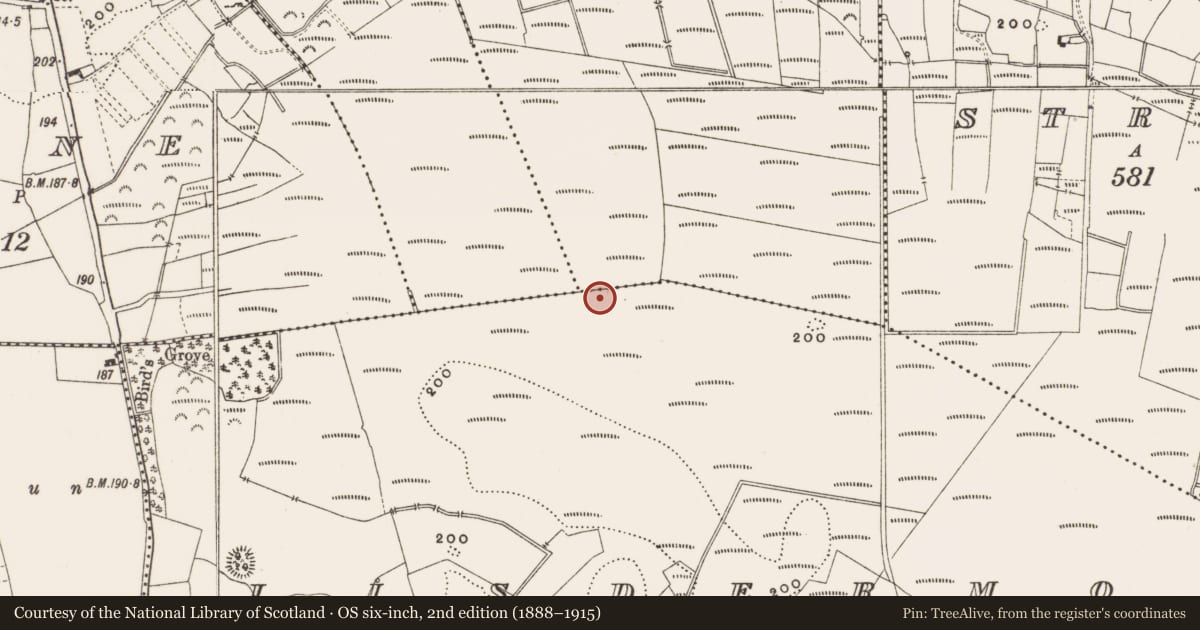 Ordnance Survey six-inch map, 2nd edition (1888–1915) covering the location of Structure - peatland, Rashinagh, County Offaly, with a pin at the register's coordinates