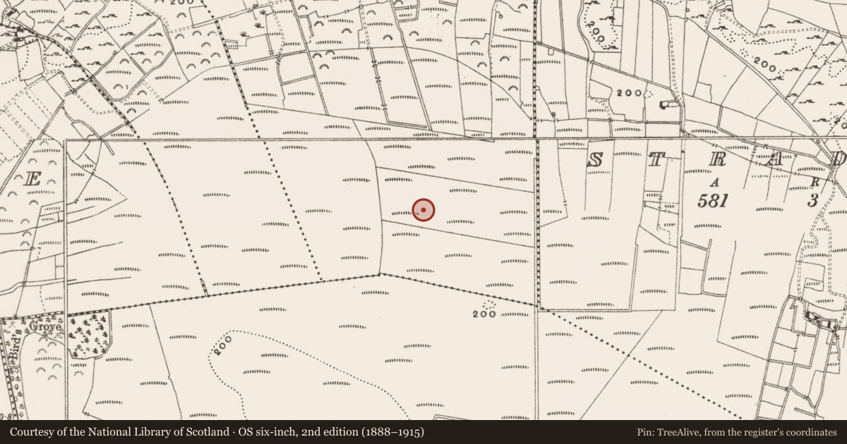 Ordnance Survey six-inch map, 2nd edition (1888–1915) covering the location of Structure - peatland, Rashinagh, County Offaly, with a pin at the register's coordinates
