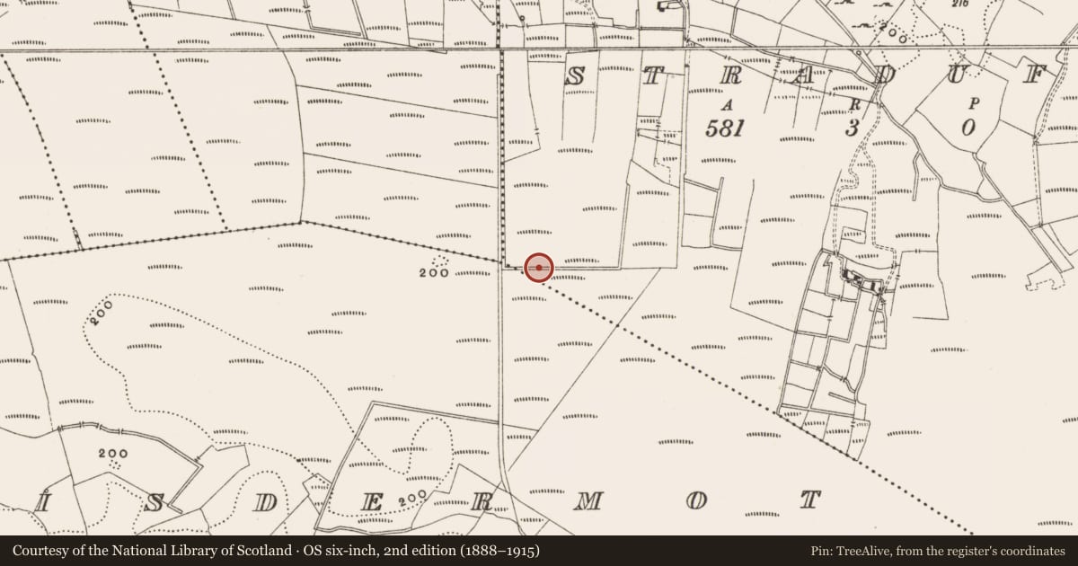 Ordnance Survey six-inch map, 2nd edition (1888–1915) covering the location of Road - gravel/stone trackway - peatland, Straduff, County Offaly, with a pin at the register's coordinates