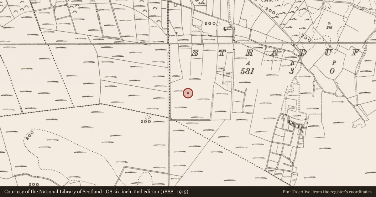 Ordnance Survey six-inch map, 2nd edition (1888–1915) covering the location of Structure - peatland, Lisdermot, Straduff, County Offaly, with a pin at the register's coordinates