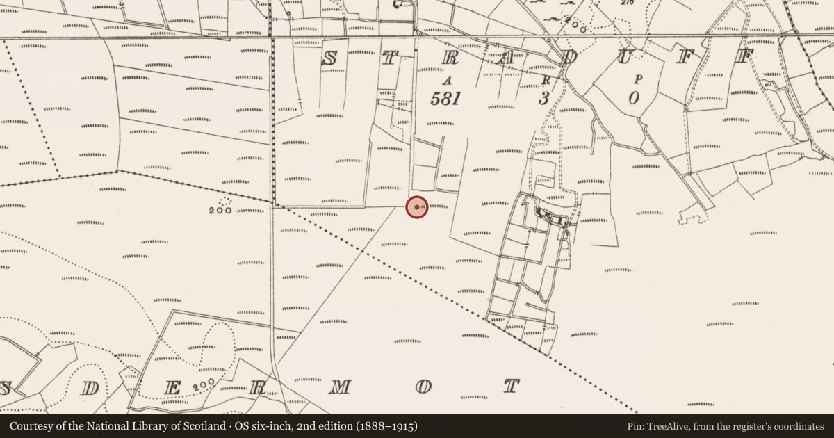 Ordnance Survey six-inch map, 2nd edition (1888–1915) covering the location of Structure - peatland, Straduff, County Offaly, with a pin at the register's coordinates