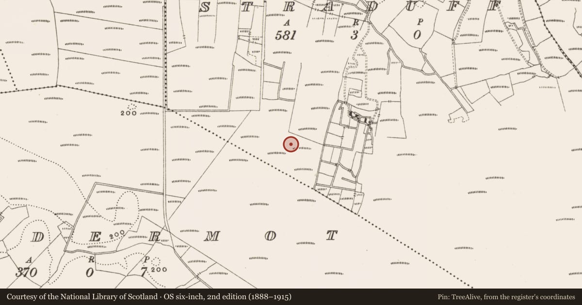 Ordnance Survey six-inch map, 2nd edition (1888–1915) covering the location of Structure - peatland, Straduff, County Offaly, with a pin at the register's coordinates
