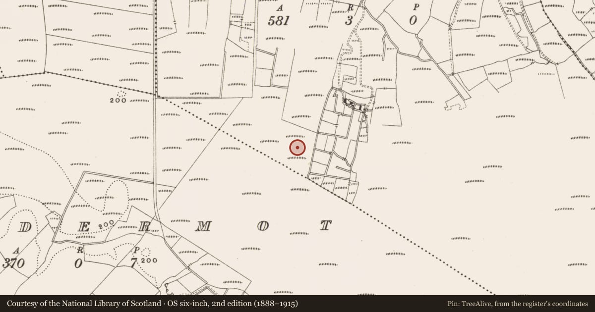 Ordnance Survey six-inch map, 2nd edition (1888–1915) covering the location of Structure - peatland, Straduff, County Offaly, with a pin at the register's coordinates