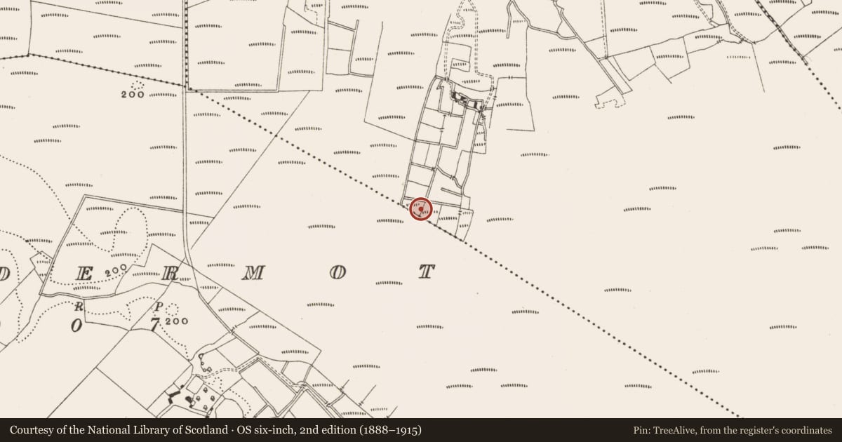 Ordnance Survey six-inch map, 2nd edition (1888–1915) covering the location of Road - class 3 togher, Straduff, County Offaly, with a pin at the register's coordinates