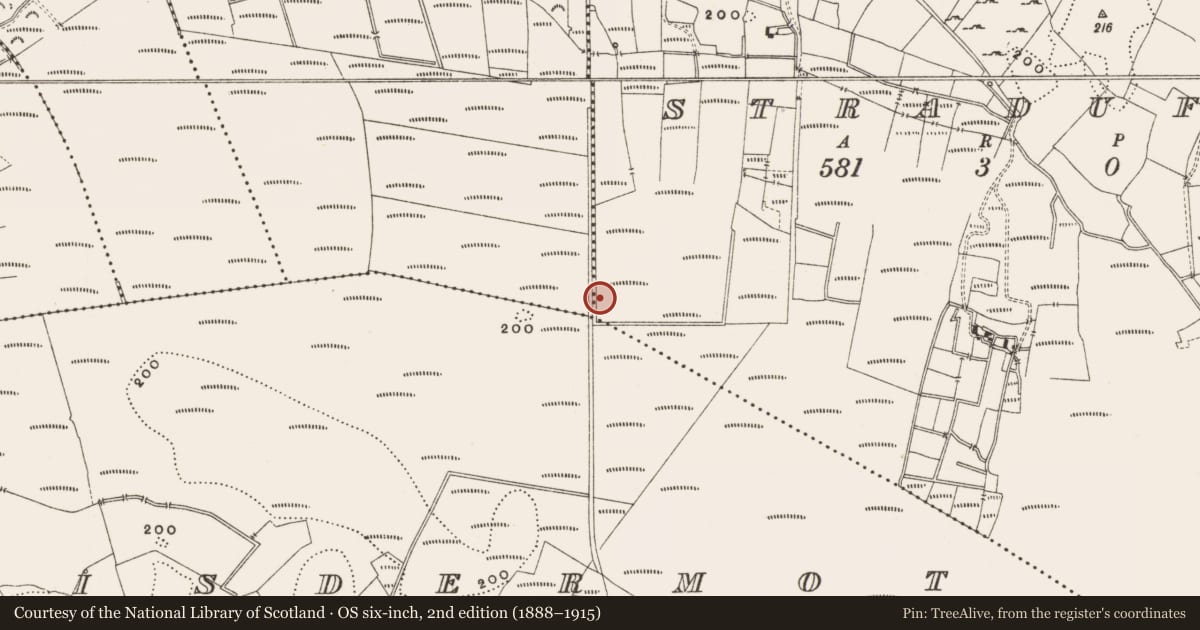 Ordnance Survey six-inch map, 2nd edition (1888–1915) covering the location of Structure - peatland, Straduff, County Offaly, with a pin at the register's coordinates