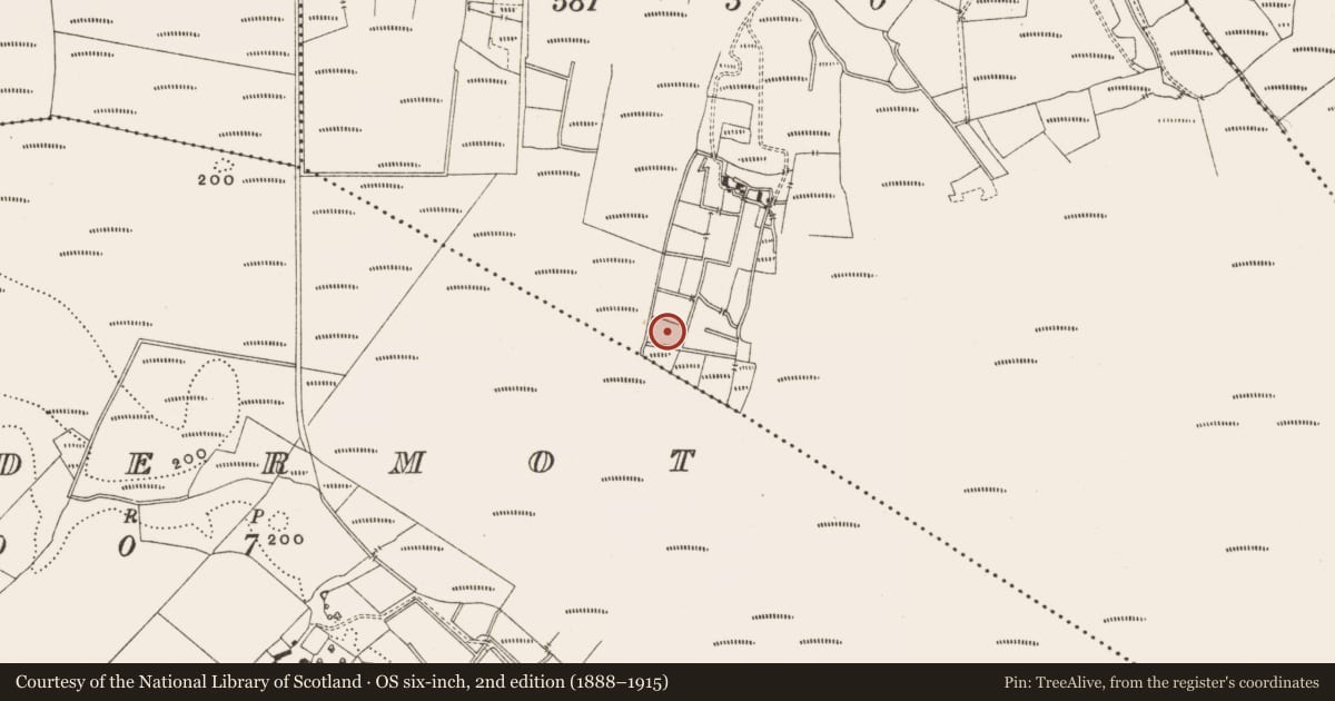 Ordnance Survey six-inch map, 2nd edition (1888–1915) covering the location of Structure - peatland, Straduff, County Offaly, with a pin at the register's coordinates