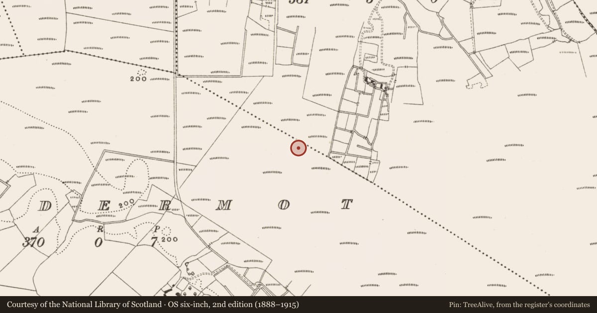 Ordnance Survey six-inch map, 2nd edition (1888–1915) covering the location of Structure - peatland, Lisdermot, County Offaly, with a pin at the register's coordinates
