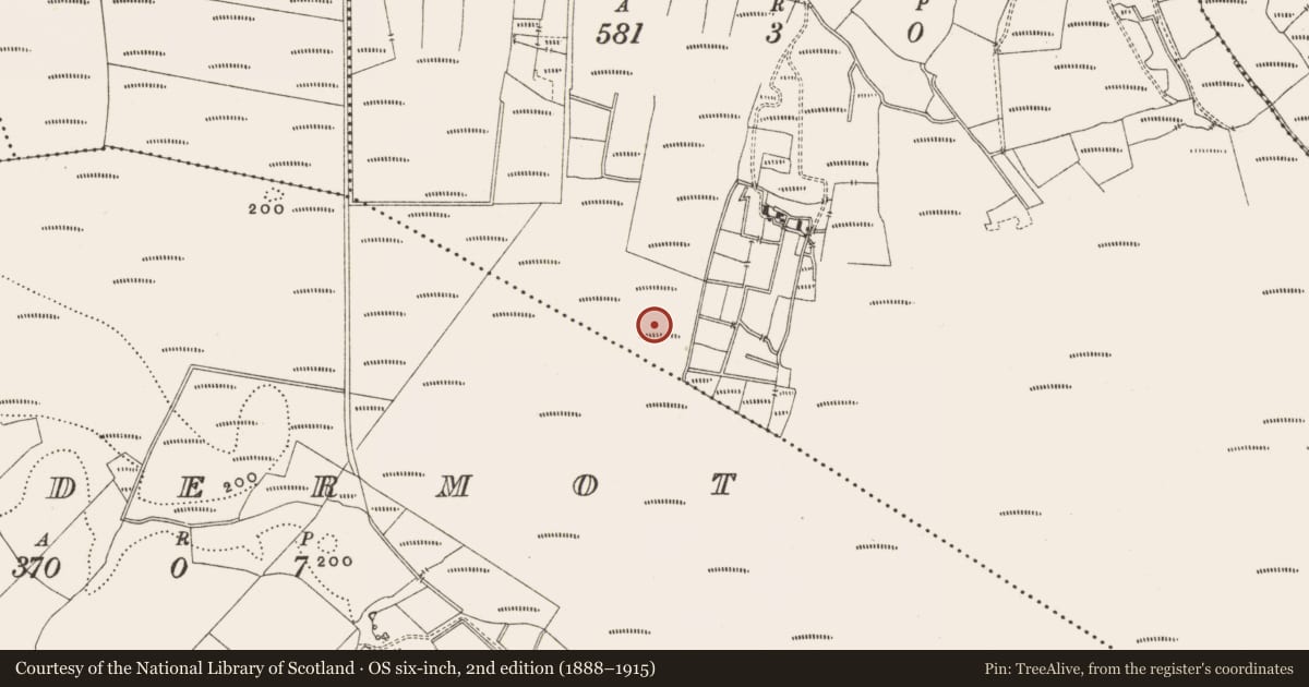 Ordnance Survey six-inch map, 2nd edition (1888–1915) covering the location of Structure - peatland, Straduff, County Offaly, with a pin at the register's coordinates