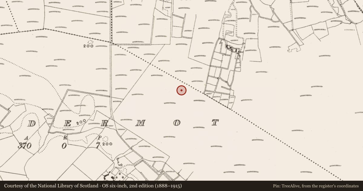 Ordnance Survey six-inch map, 2nd edition (1888–1915) covering the location of Structure - peatland, Lisdermot, Straduff, County Offaly, with a pin at the register's coordinates