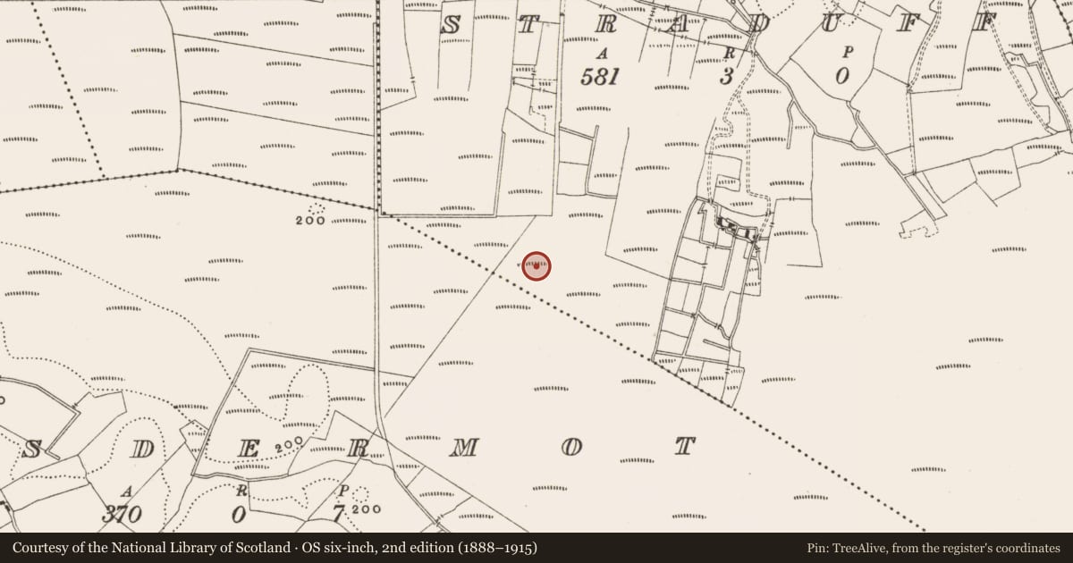 Ordnance Survey six-inch map, 2nd edition (1888–1915) covering the location of Structure - peatland, Straduff, County Offaly, with a pin at the register's coordinates