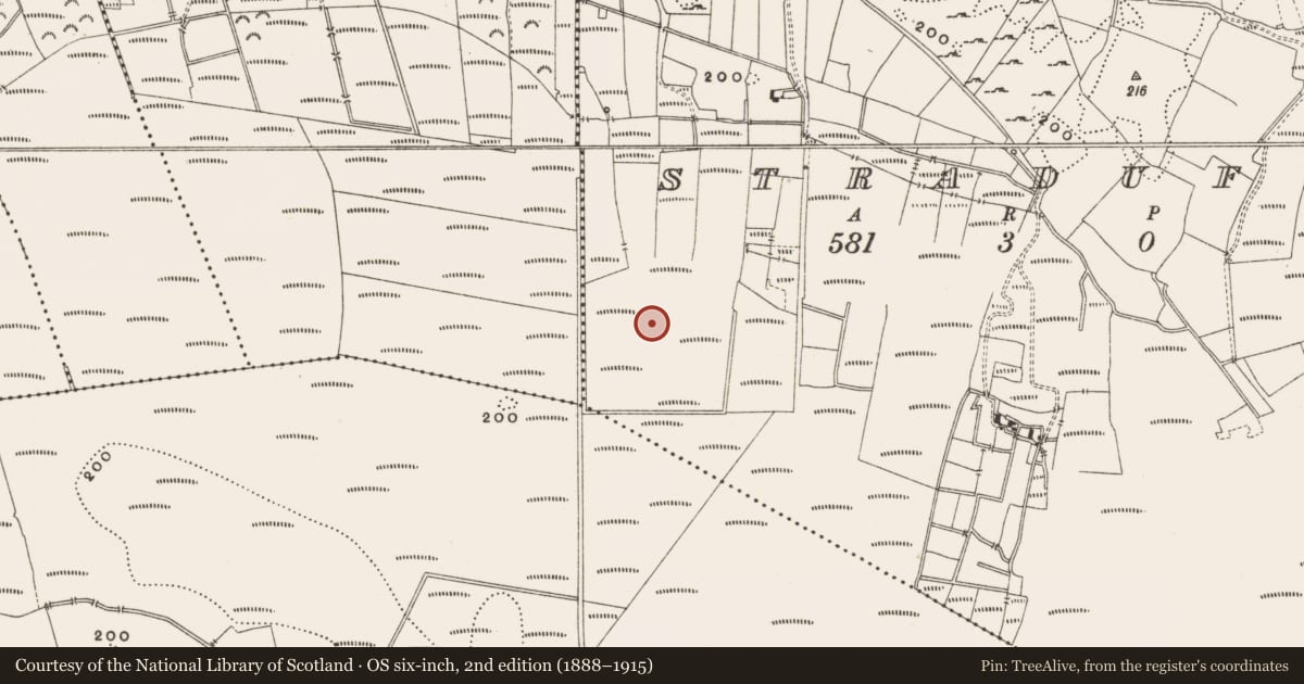 Ordnance Survey six-inch map, 2nd edition (1888–1915) covering the location of Structure - peatland, Straduff, County Offaly, with a pin at the register's coordinates