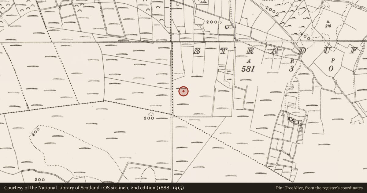 Ordnance Survey six-inch map, 2nd edition (1888–1915) covering the location of Structure - peatland, Straduff, County Offaly, with a pin at the register's coordinates
