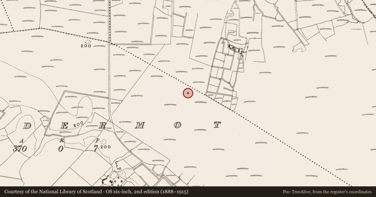 Ordnance Survey six-inch map, 2nd edition (1888–1915) covering the location of Structure - peatland, Lisdermot, County Offaly, with a pin at the register's coordinates