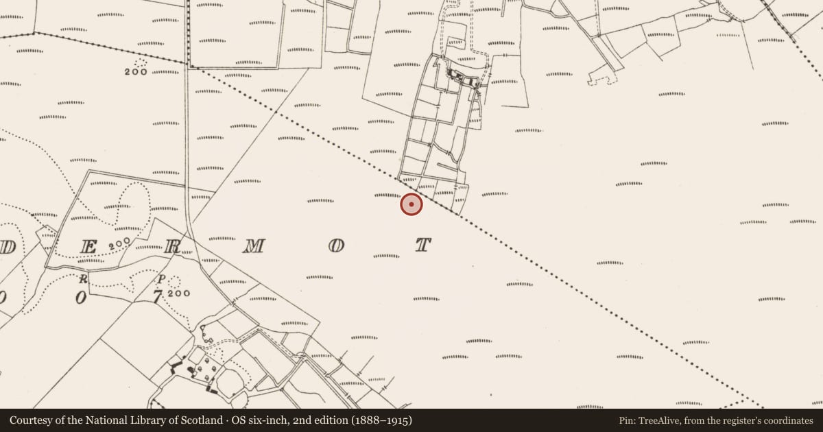 Ordnance Survey six-inch map, 2nd edition (1888–1915) covering the location of Structure - peatland, Lisdermot, County Offaly, with a pin at the register's coordinates