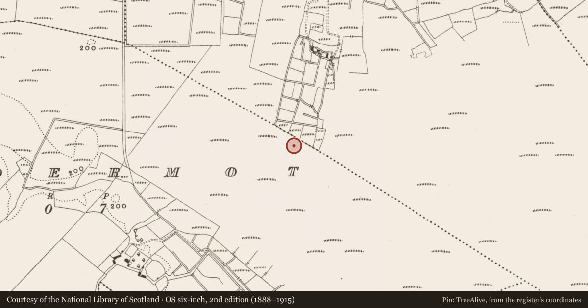 Ordnance Survey six-inch map, 2nd edition (1888–1915) covering the location of Structure - peatland, Lisdermot, County Offaly, with a pin at the register's coordinates