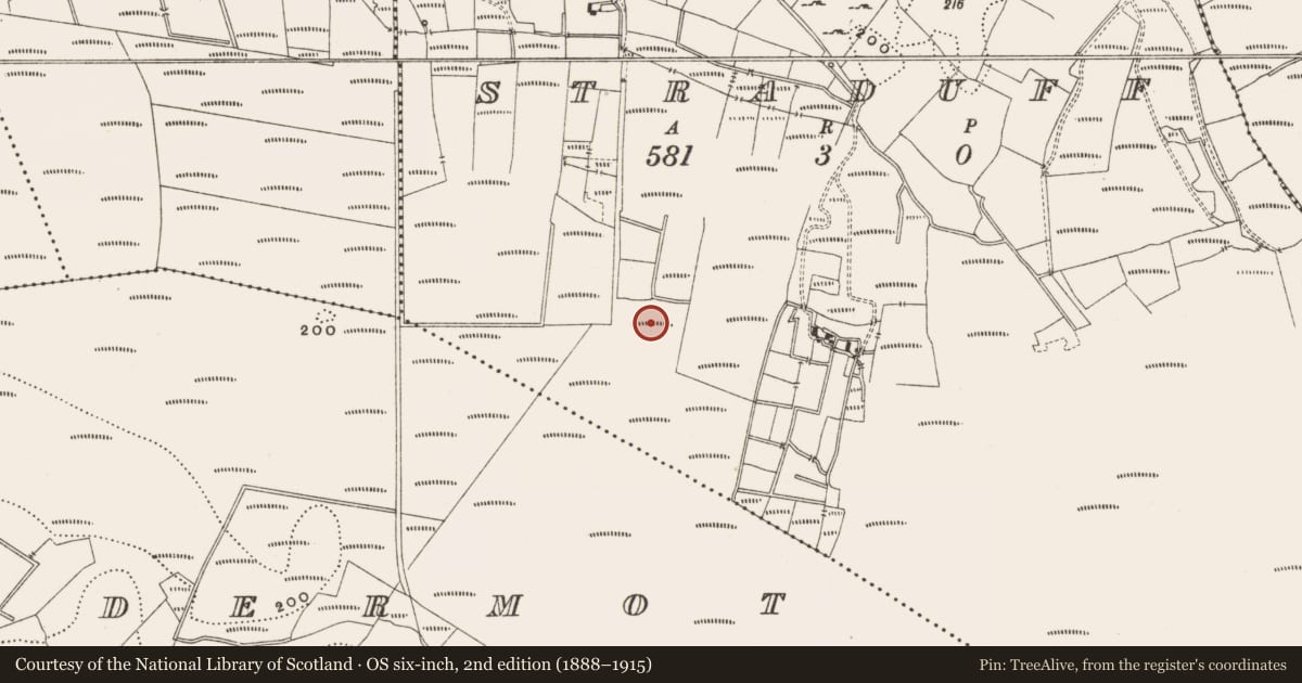 Ordnance Survey six-inch map, 2nd edition (1888–1915) covering the location of Structure - peatland, Straduff, County Offaly, with a pin at the register's coordinates