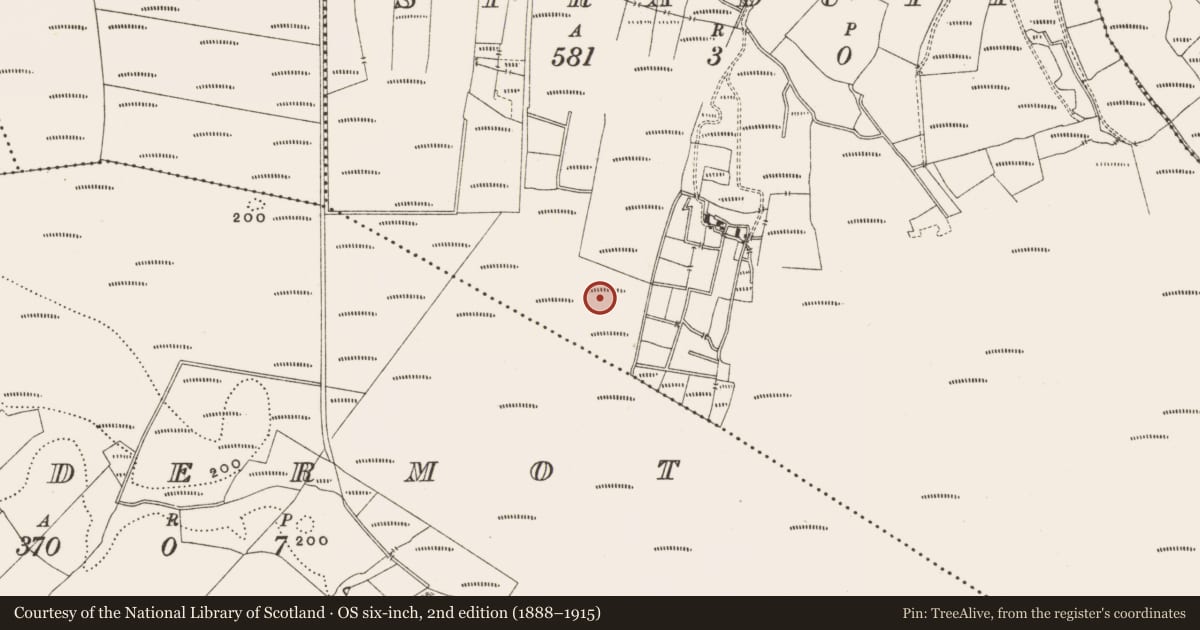 Ordnance Survey six-inch map, 2nd edition (1888–1915) covering the location of Structure - peatland, Straduff, County Offaly, with a pin at the register's coordinates