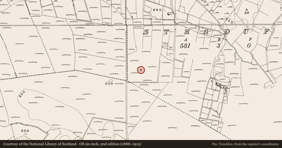 Ordnance Survey six-inch map, 2nd edition (1888–1915) covering the location of Structure - peatland, Straduff, County Offaly, with a pin at the register's coordinates