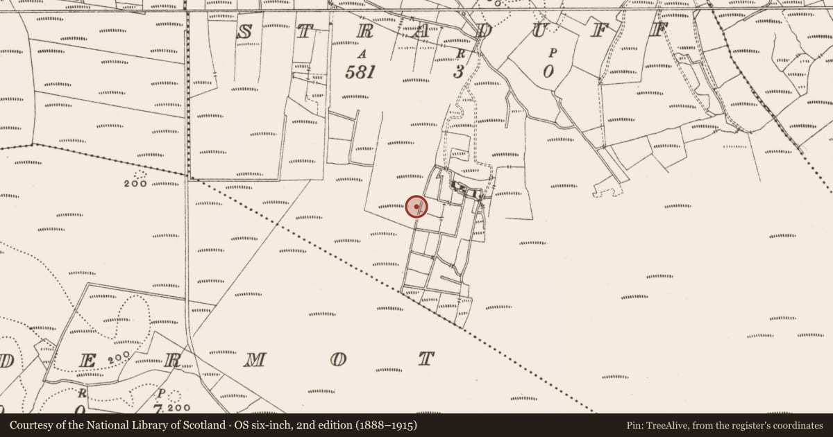 Ordnance Survey six-inch map, 2nd edition (1888–1915) covering the location of Structure - peatland, Straduff, County Offaly, with a pin at the register's coordinates