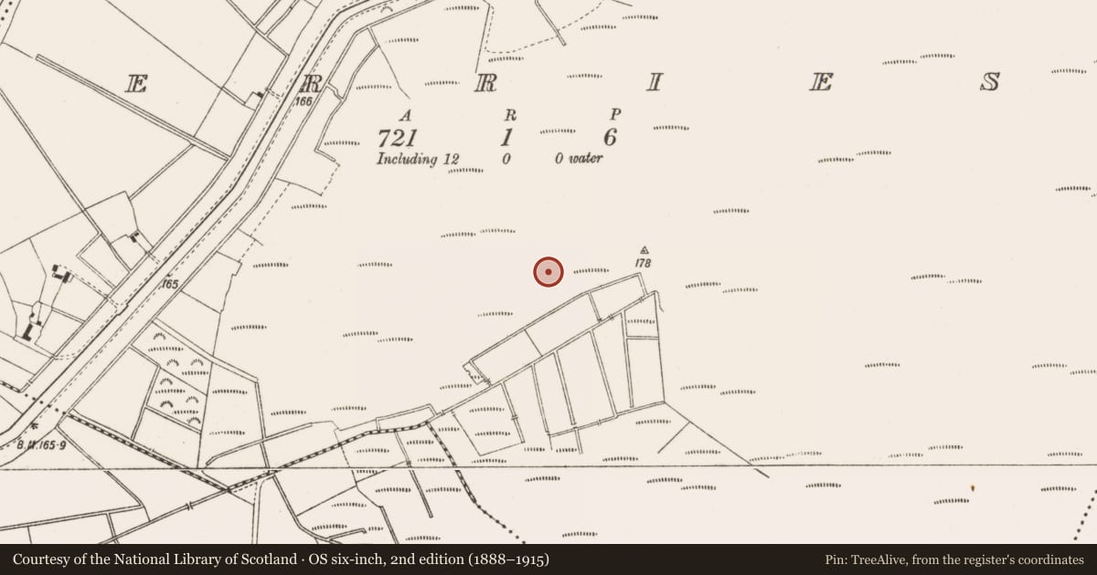 Ordnance Survey six-inch map, 2nd edition (1888–1915) covering the location of Structure - peatland, Derries, County Offaly, with a pin at the register's coordinates