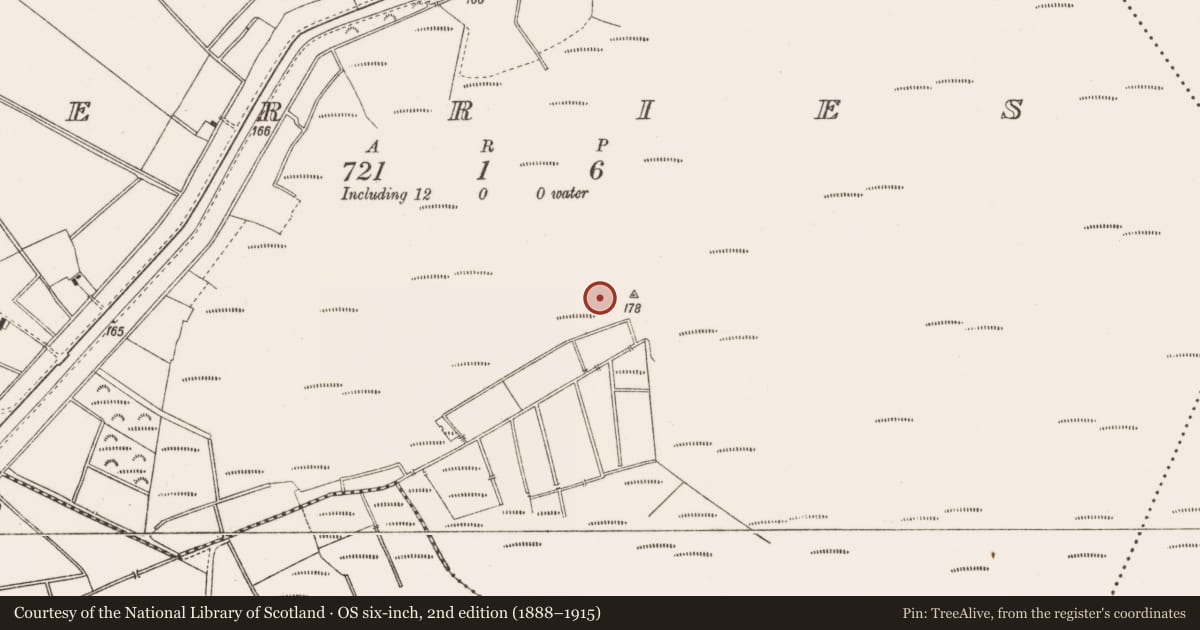 Ordnance Survey six-inch map, 2nd edition (1888–1915) covering the location of Structure - peatland, Derries, County Offaly, with a pin at the register's coordinates