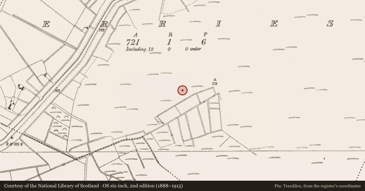 Ordnance Survey six-inch map, 2nd edition (1888–1915) covering the location of Road - class 3 togher, Derries, County Offaly, with a pin at the register's coordinates