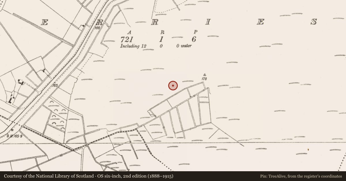 Ordnance Survey six-inch map, 2nd edition (1888–1915) covering the location of Road - class 3 togher, Derries, County Offaly, with a pin at the register's coordinates