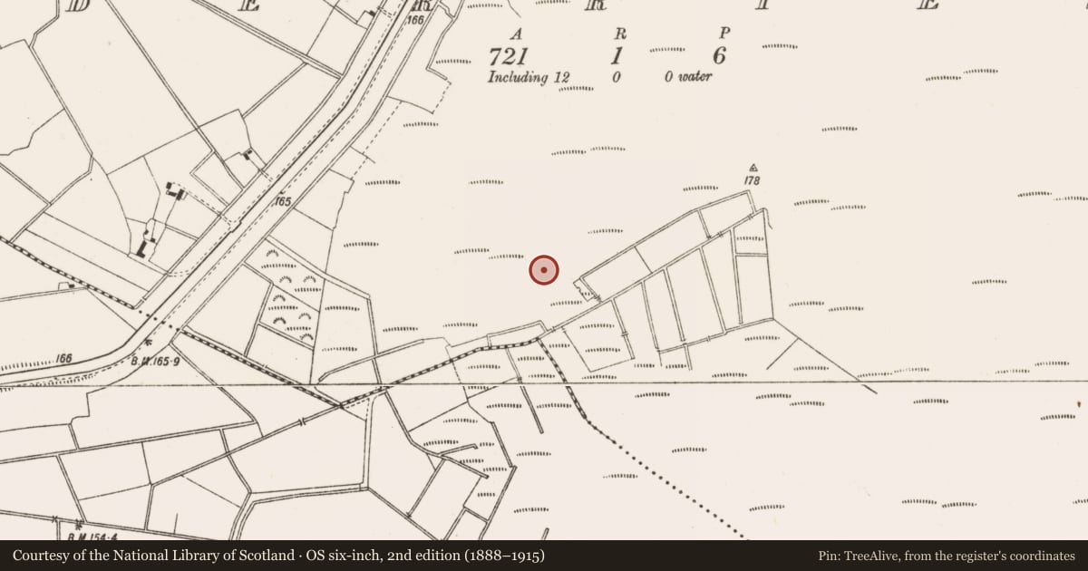 Ordnance Survey six-inch map, 2nd edition (1888–1915) covering the location of Structure - peatland, Derries, County Offaly, with a pin at the register's coordinates