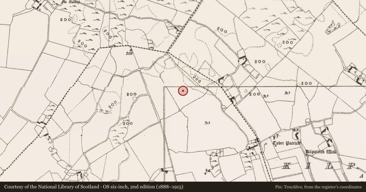 Ordnance Survey six-inch map, 2nd edition (1888–1915) covering the location of Enclosure, Deerpark, County Offaly, with a pin at the register's coordinates