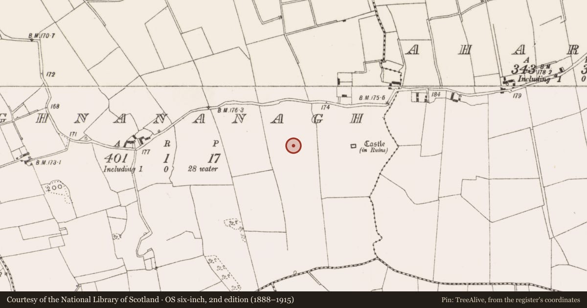 Ordnance Survey six-inch map, 2nd edition (1888–1915) covering the location of Settlement deserted - medieval, Aghnananagh, County Offaly, with a pin at the register's coordinates
