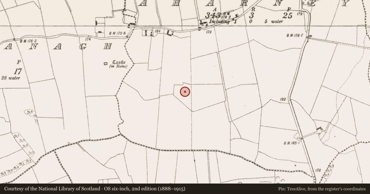 Ordnance Survey six-inch map, 2nd edition (1888–1915) covering the location of Castle - unclassified, Aharney, County Offaly, with a pin at the register's coordinates